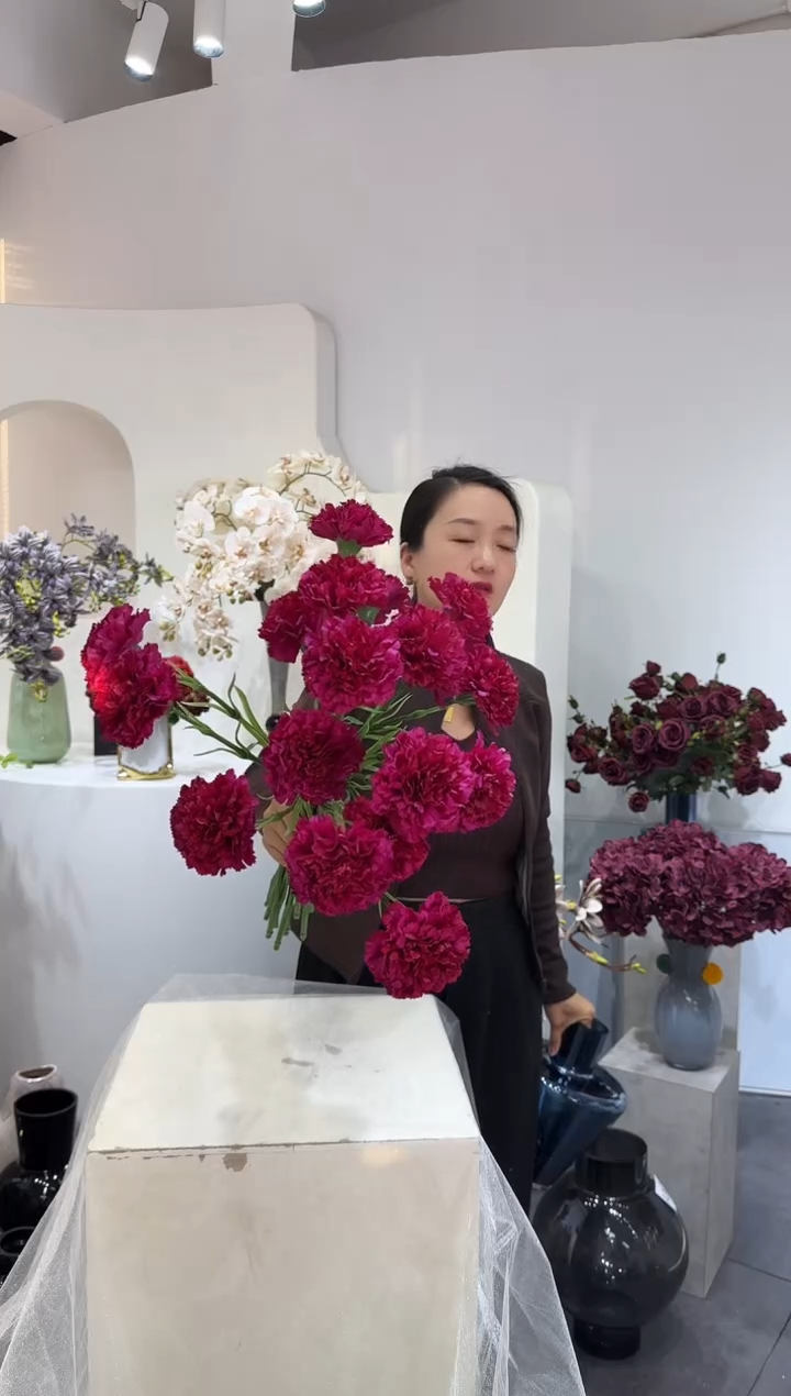 【闪购商品】藤拍10到12深紫康乃馨