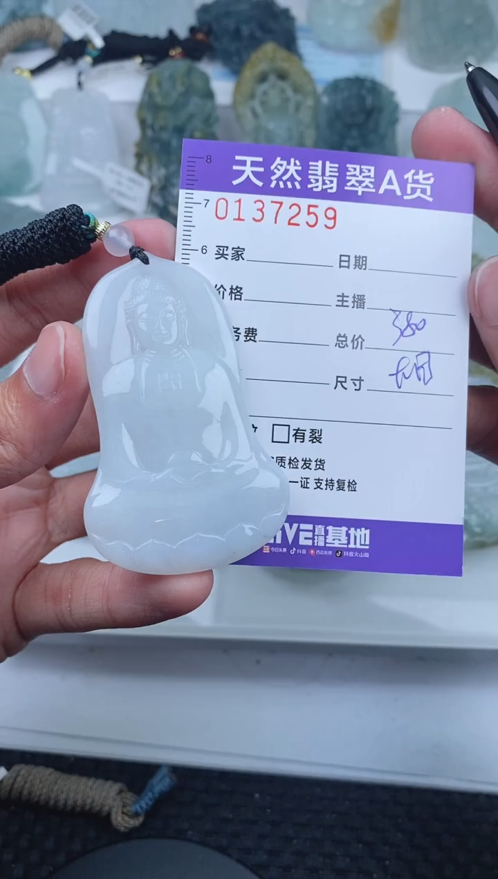 【闪购商品】翡翠颈饰未镶嵌       259