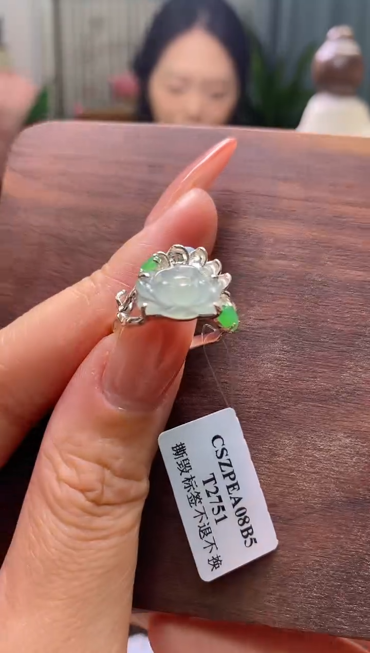 翡翠银S925镶嵌颈饰净货13023