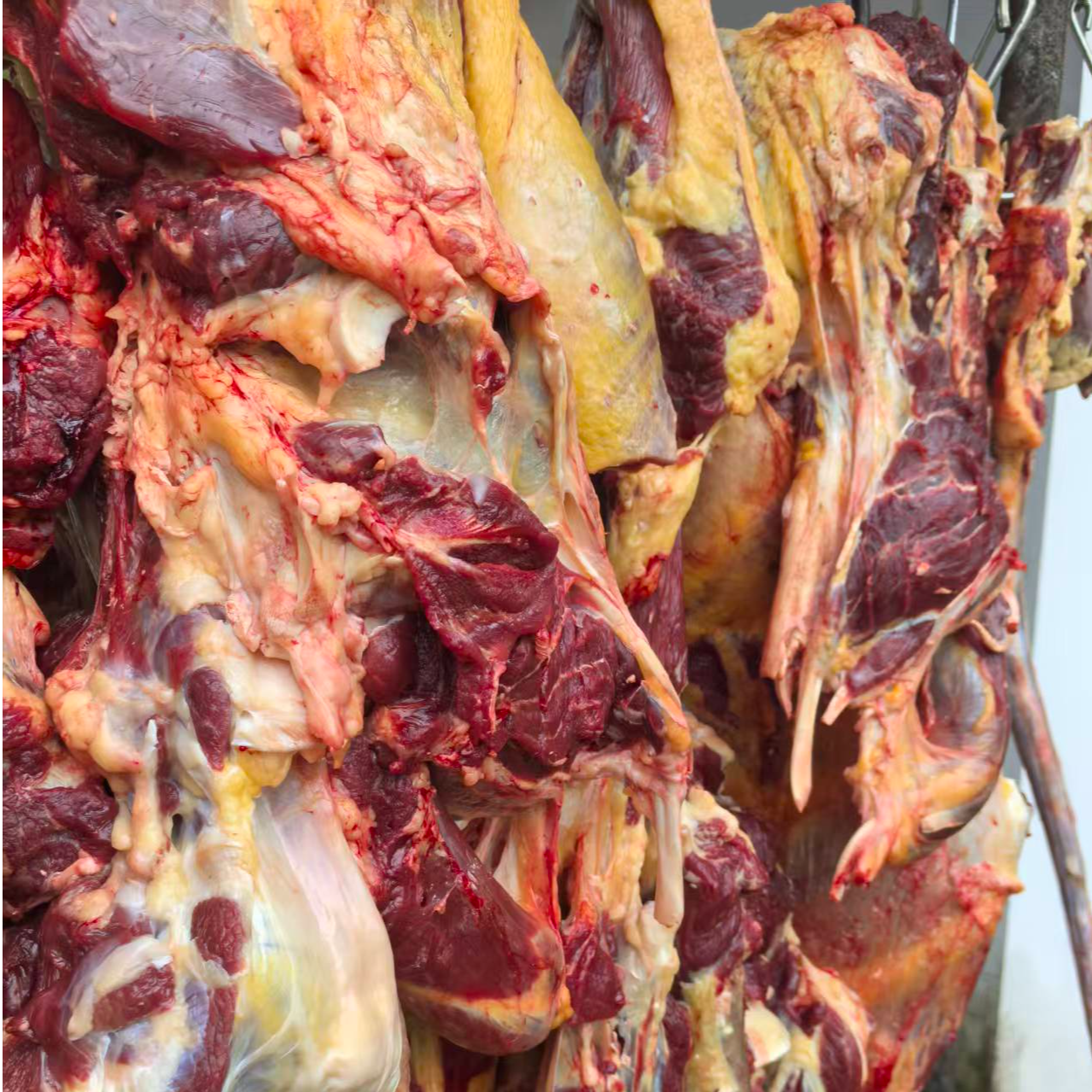 金寨黄牛肉农家喂养无注水现宰金标老黄牛肉3斤顺丰包邮