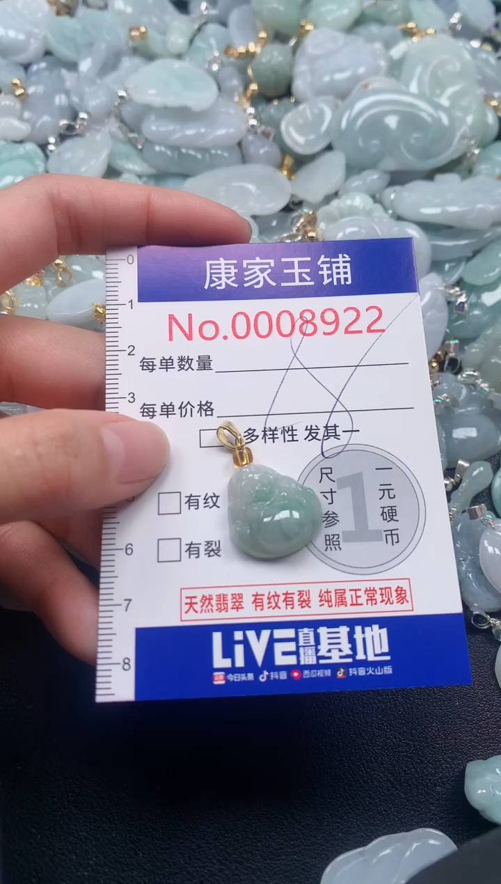 颈饰未镶嵌翡翠8922