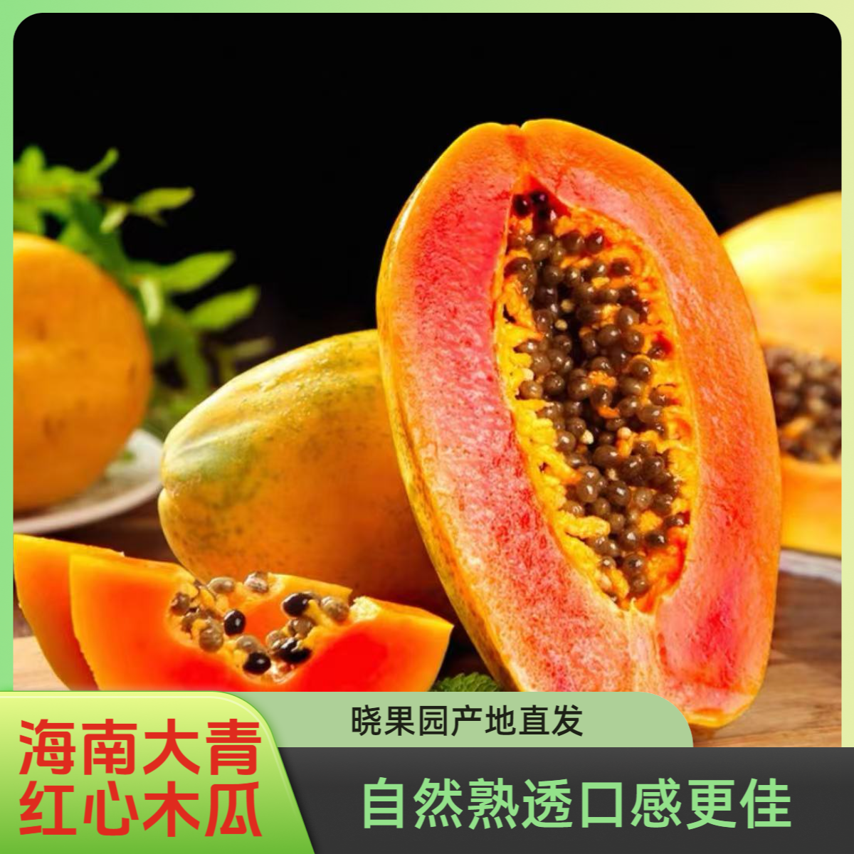 【晓果园】海南大青红心木瓜树上熟新鲜采摘口感细腻香甜软糯