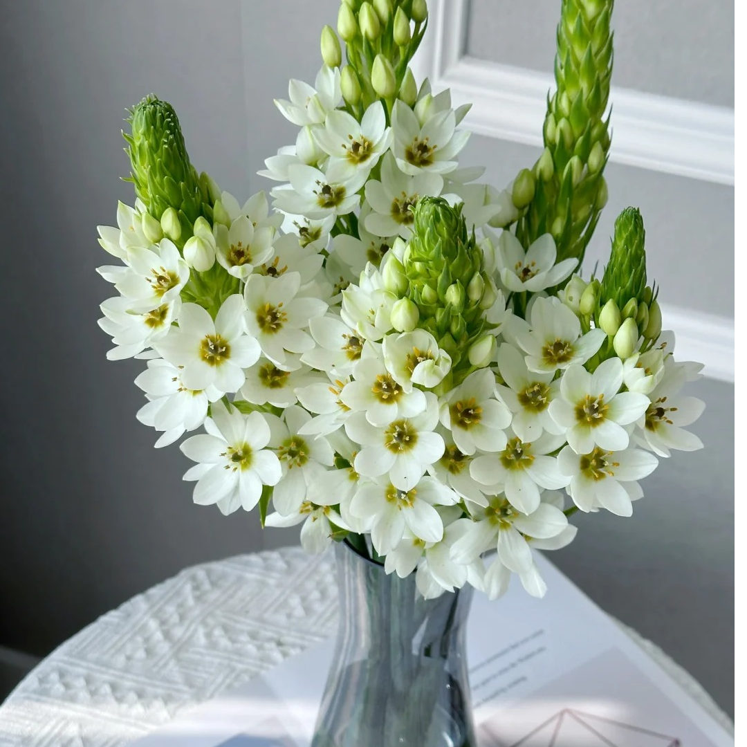 【圣心百合】云南鲜花基地直发一件也包邮  发货后不支持退款