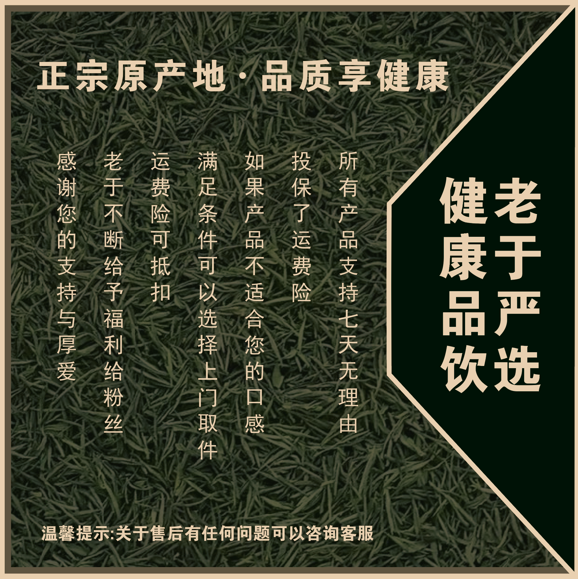 【9月25日】雪域白参切片益身百搭茶西藏核心产区-产品直播间为准