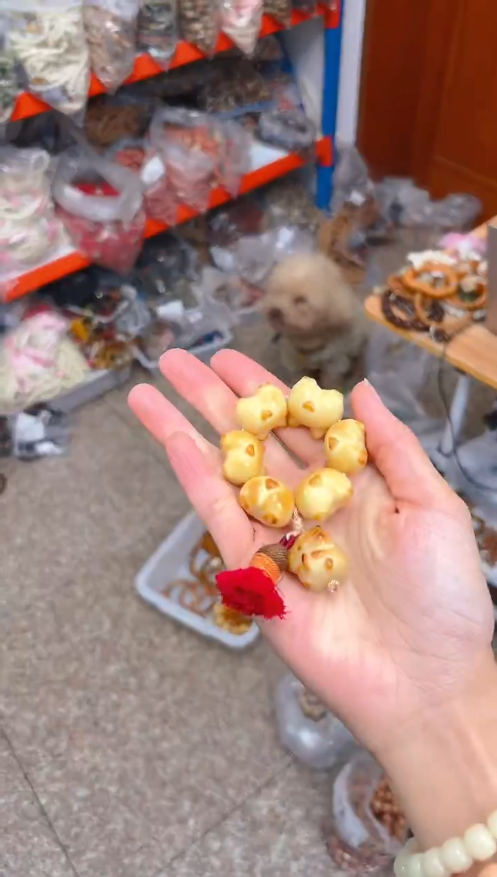 吊坠菩提根/象牙果柯基屁屁手捻 小仓鼠