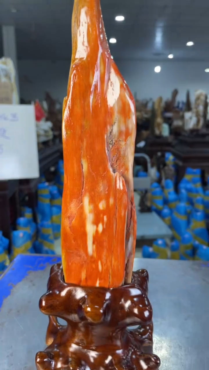 未镶嵌摆件硅化玉35