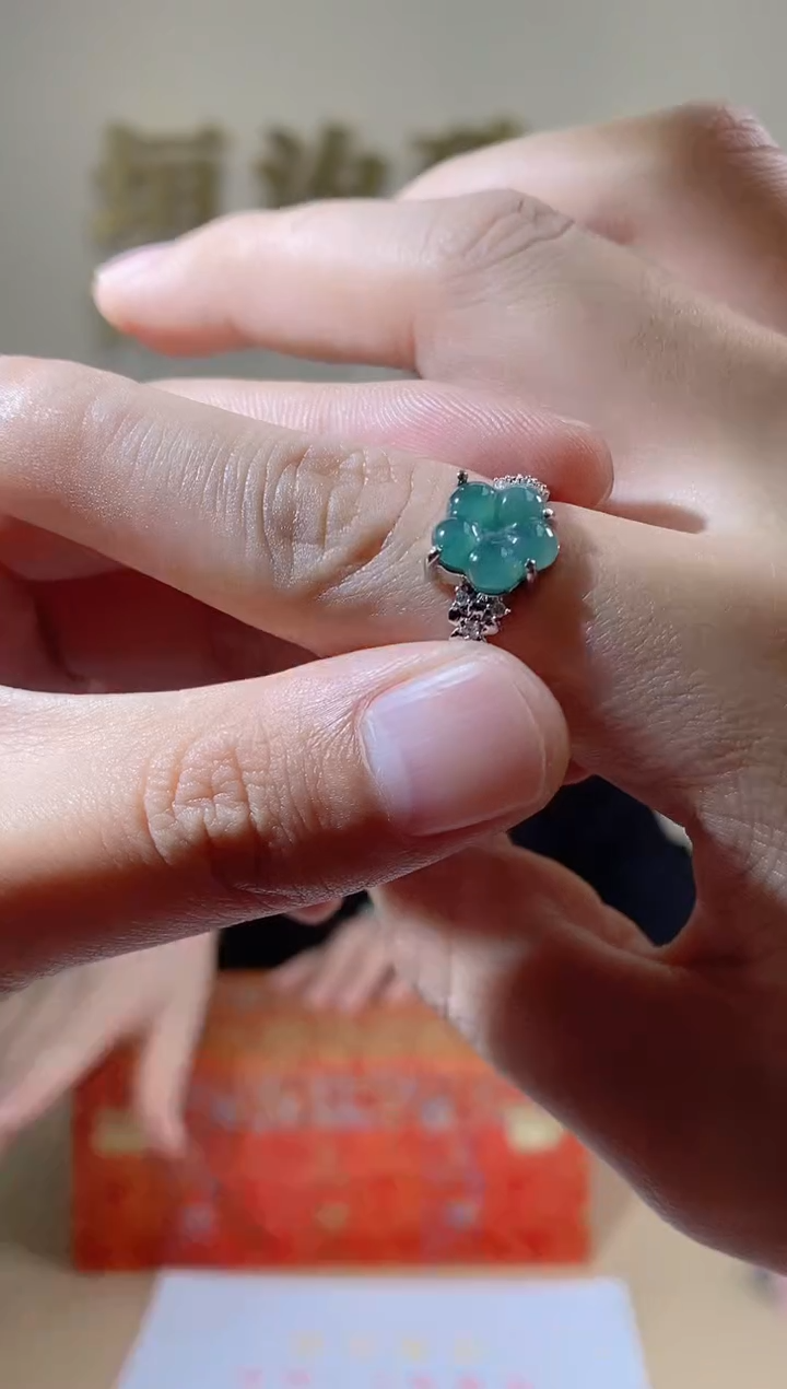 【闪购商品】翡翠戒指合金天然A货翡翠（多样性发货） 