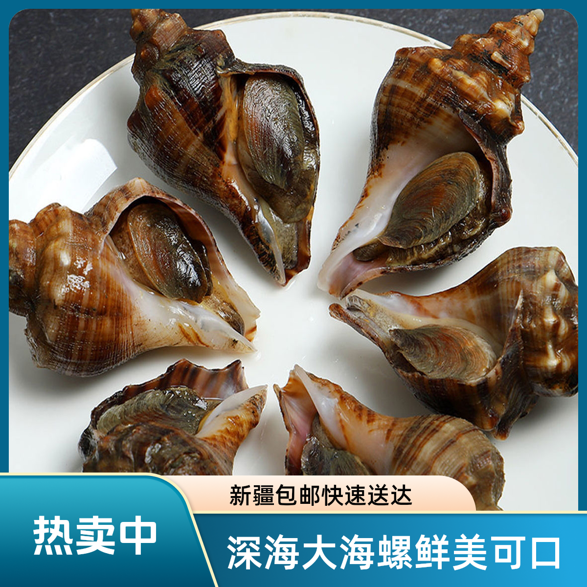 【小林优选|新疆包邮】深海大海螺【同城速达】