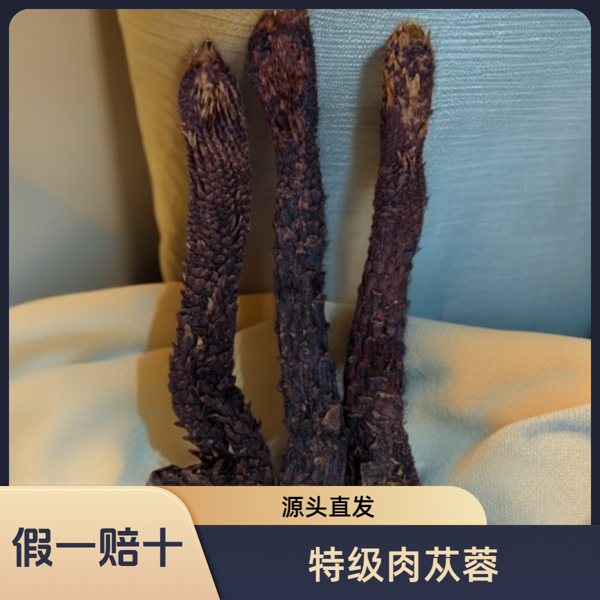 疆补堂整根【送礼首选】品质保证！