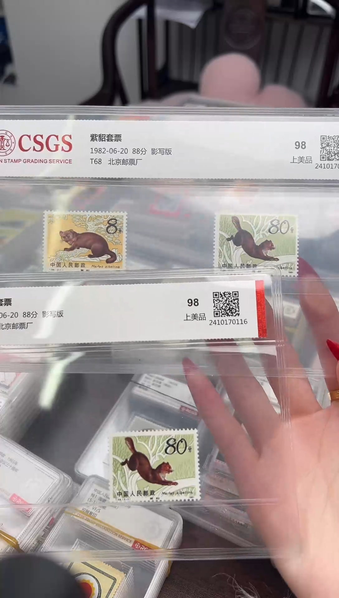 【闪购商品】T68 紫貂  封装评级 集邮