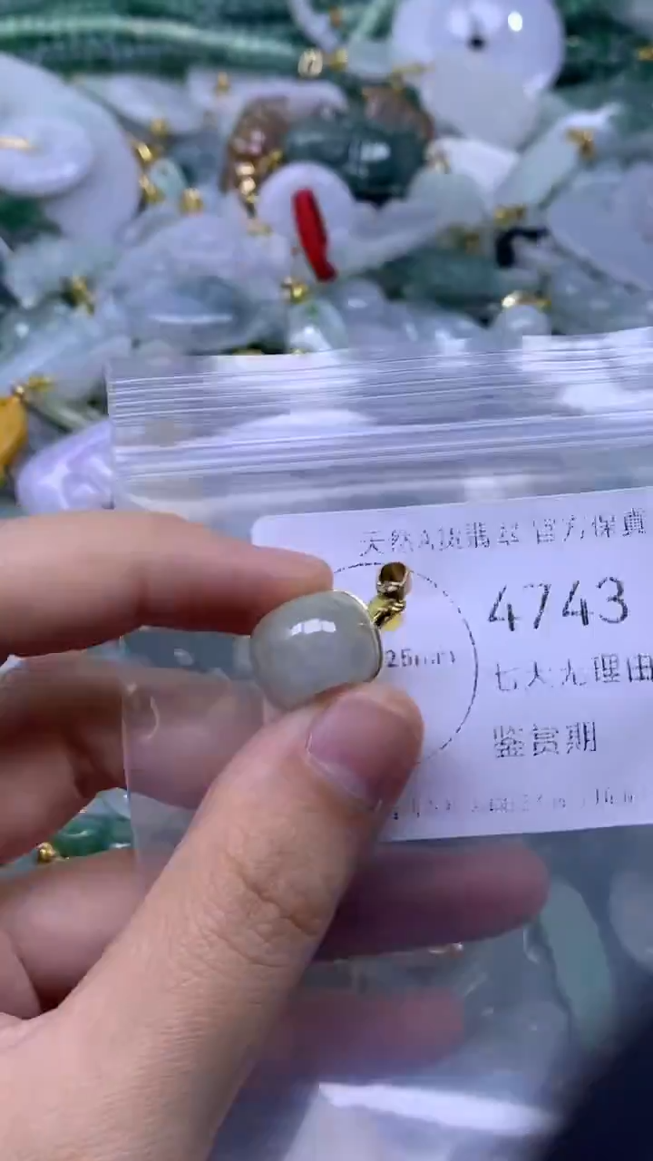 颈饰未镶嵌翡翠1