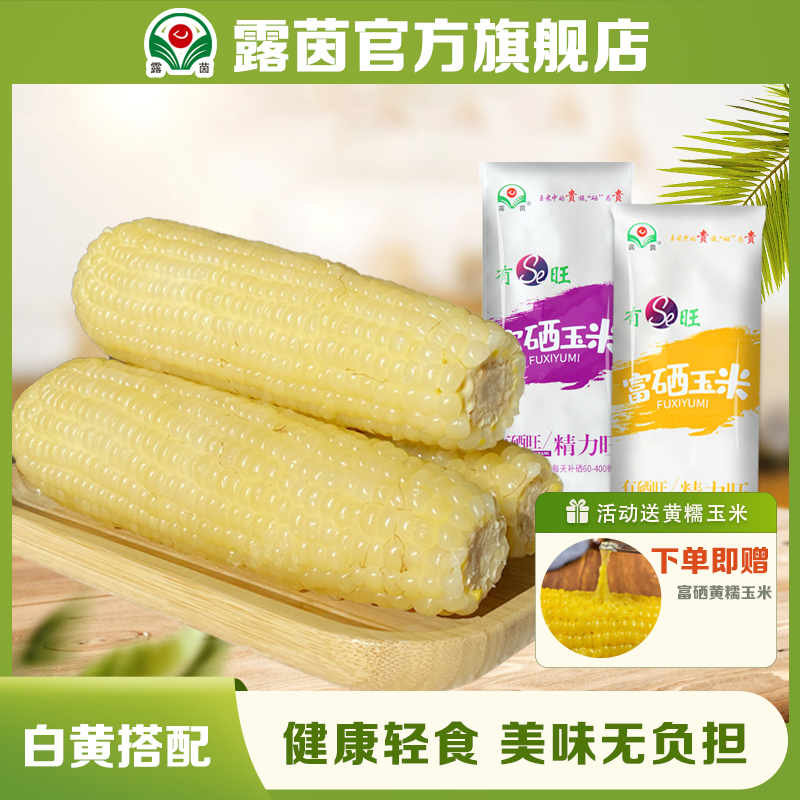 【露茵】富硒330白糯玉米 冬日火锅 代餐 新鲜 非转基因 甜糯糯玉米