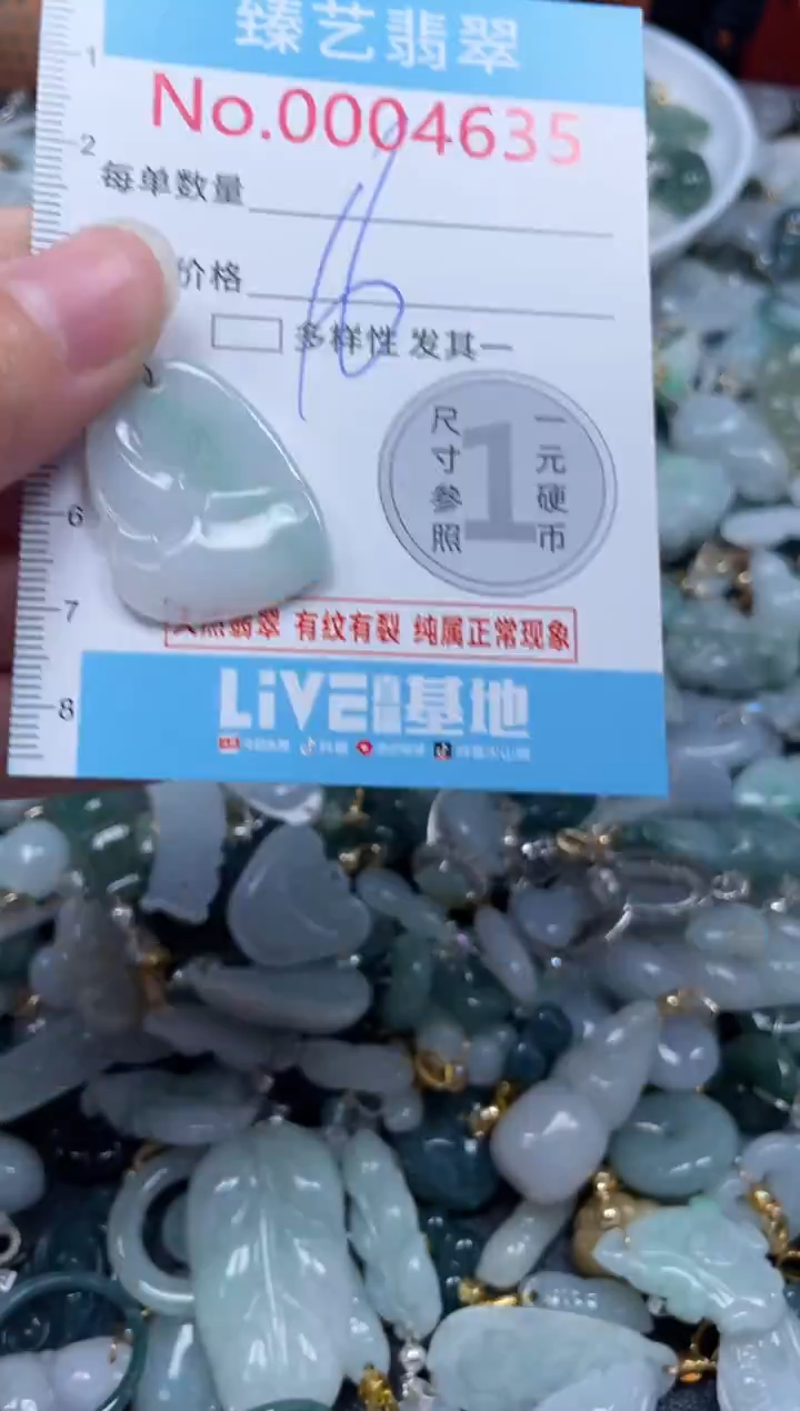 颈饰未镶嵌翡翠4635