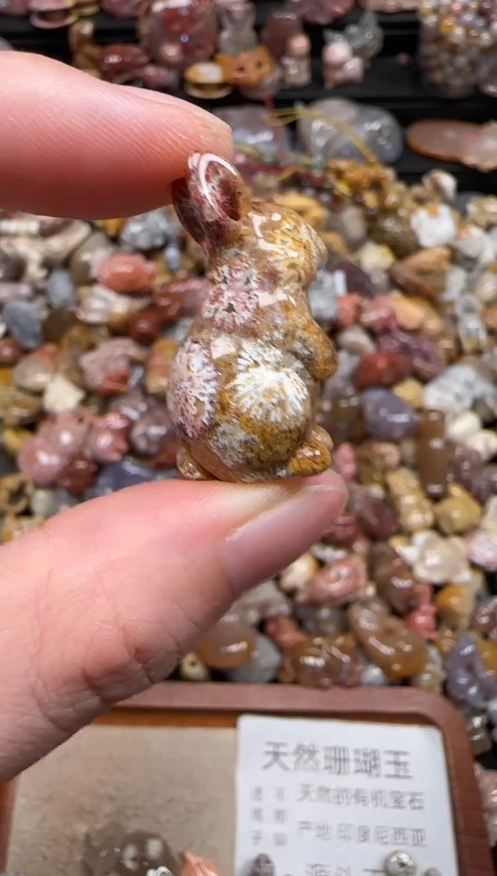 硅化珊瑚（珊瑚玉）未镶嵌颈饰067