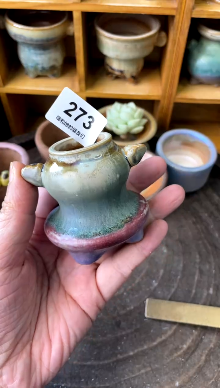 273 内口2.5【多肉花盆多肉盆】