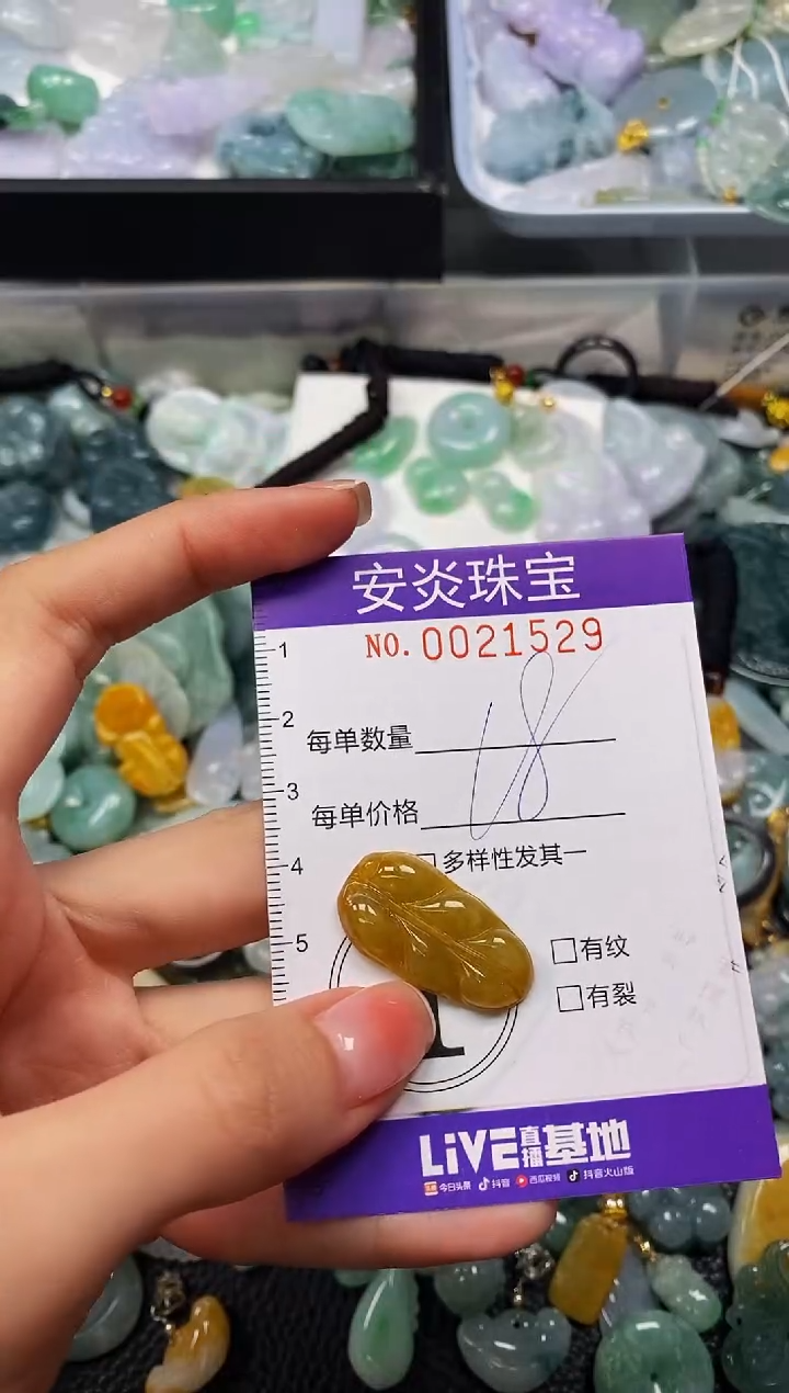 颈饰未镶嵌翡翠闪购0021529