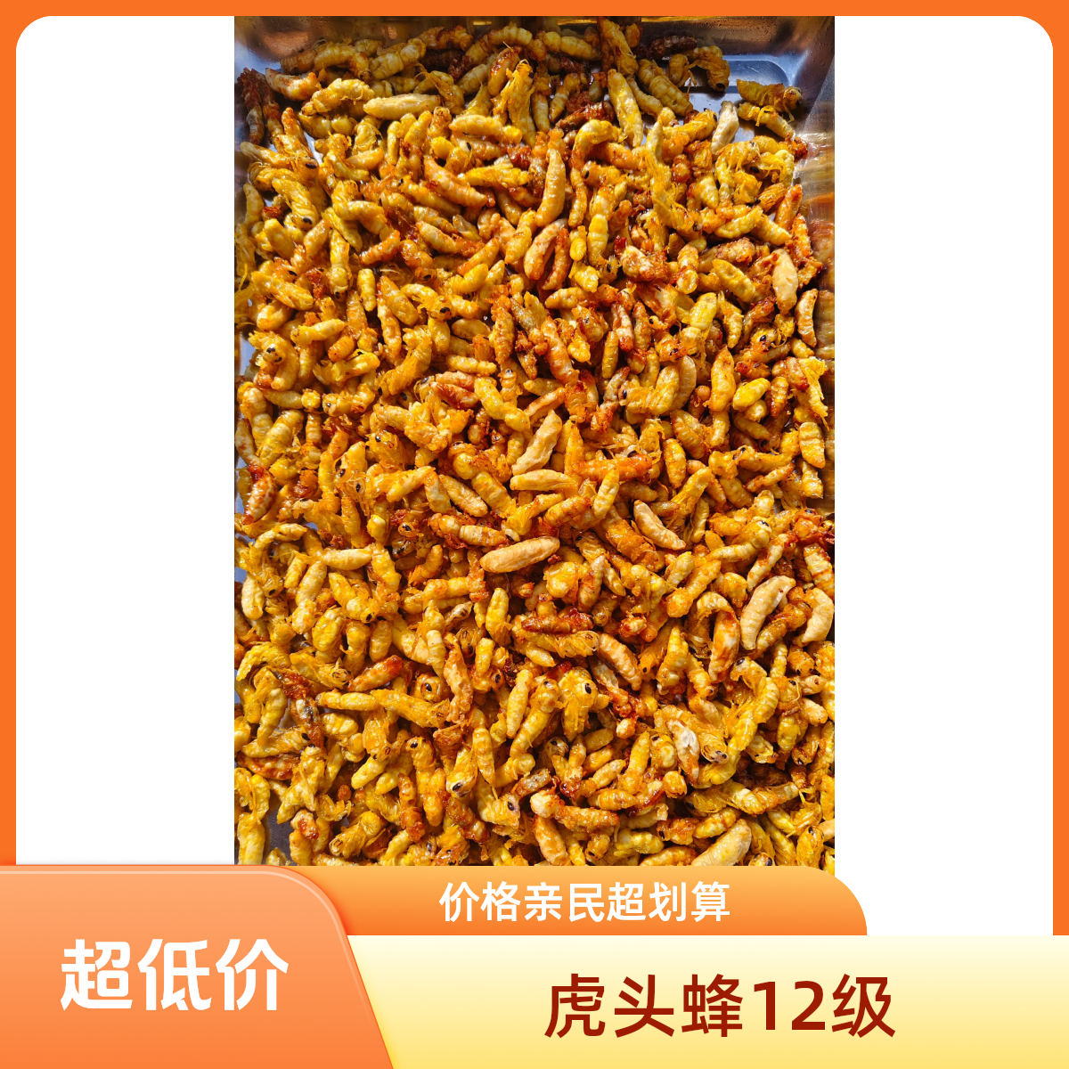 金环虎头蜂12级油炸蜂蛹 昆虫 地蜂  土蜂 无内脏 营养美味