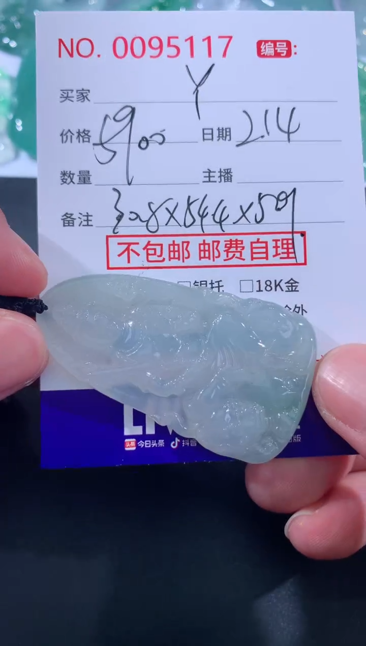 【闪购商品】翡翠颈饰未镶嵌 定向 Y