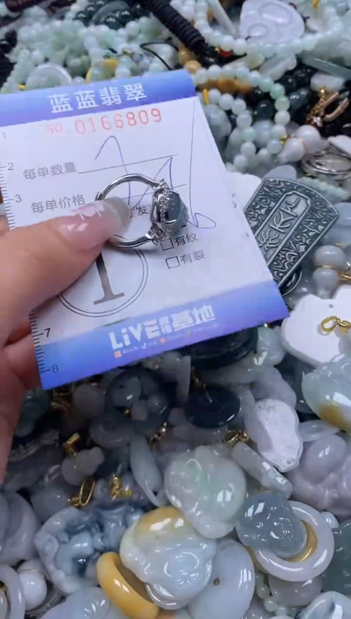 【闪购商品】翡翠颈饰未镶嵌闪购0166809