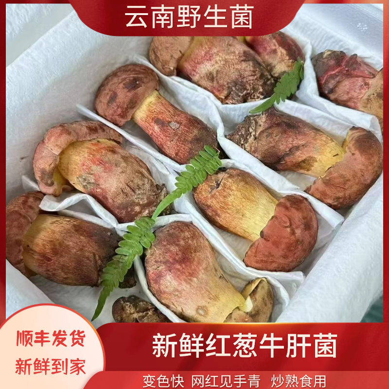 2025年云南野生见手青红葱野生菌牛肝菌顺丰包邮青鲜