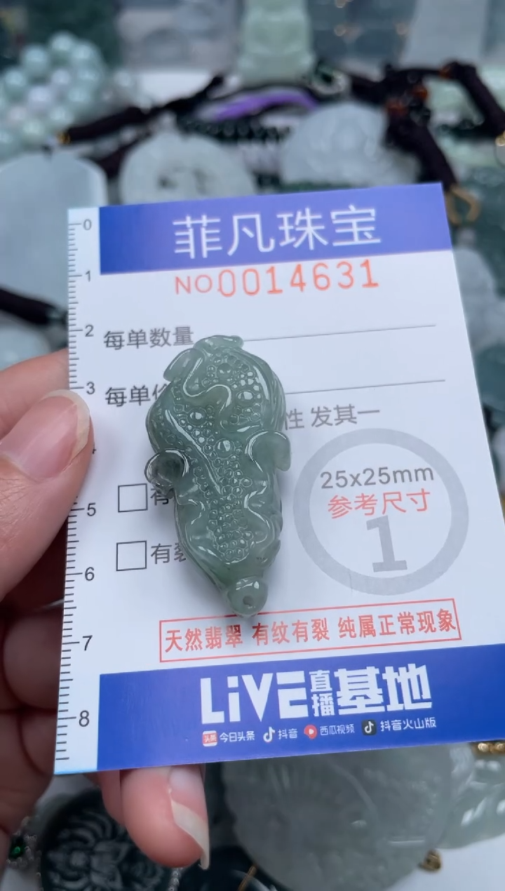 颈饰未镶嵌翡翠14631