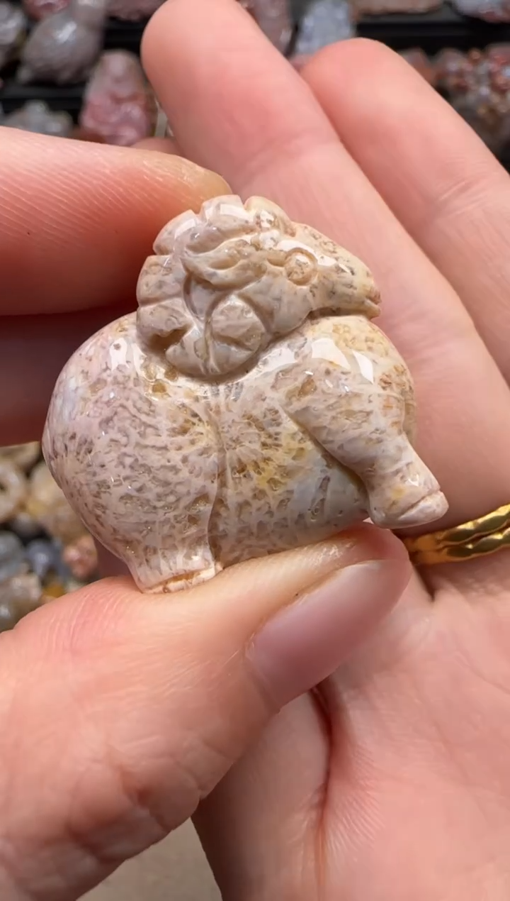 【闪购商品】硅化珊瑚（珊瑚玉）颈饰未镶嵌417