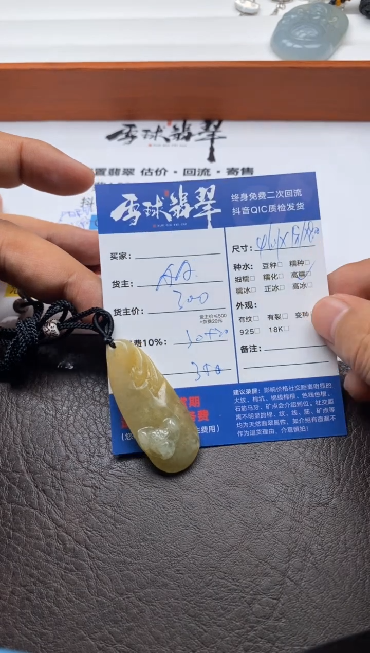 【闪购商品】翡翠颈饰未镶嵌1145112101