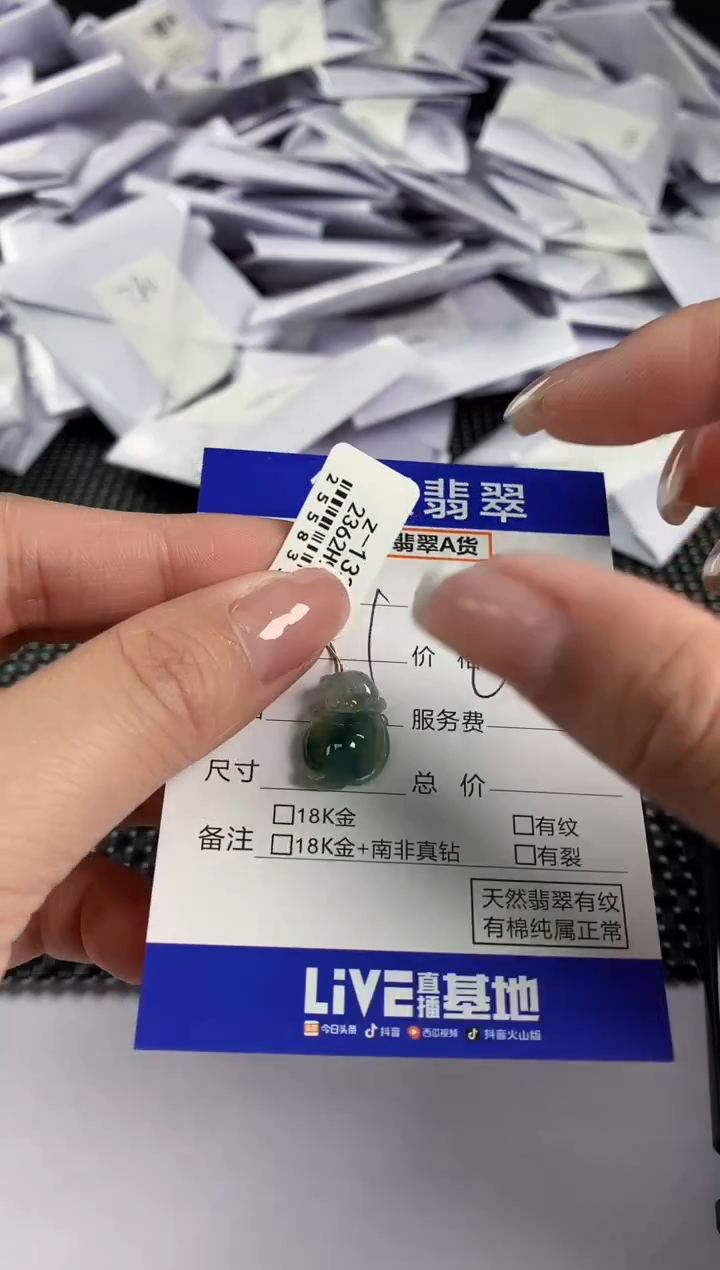 【闪购商品】翡翠颈饰未镶嵌翡翠5