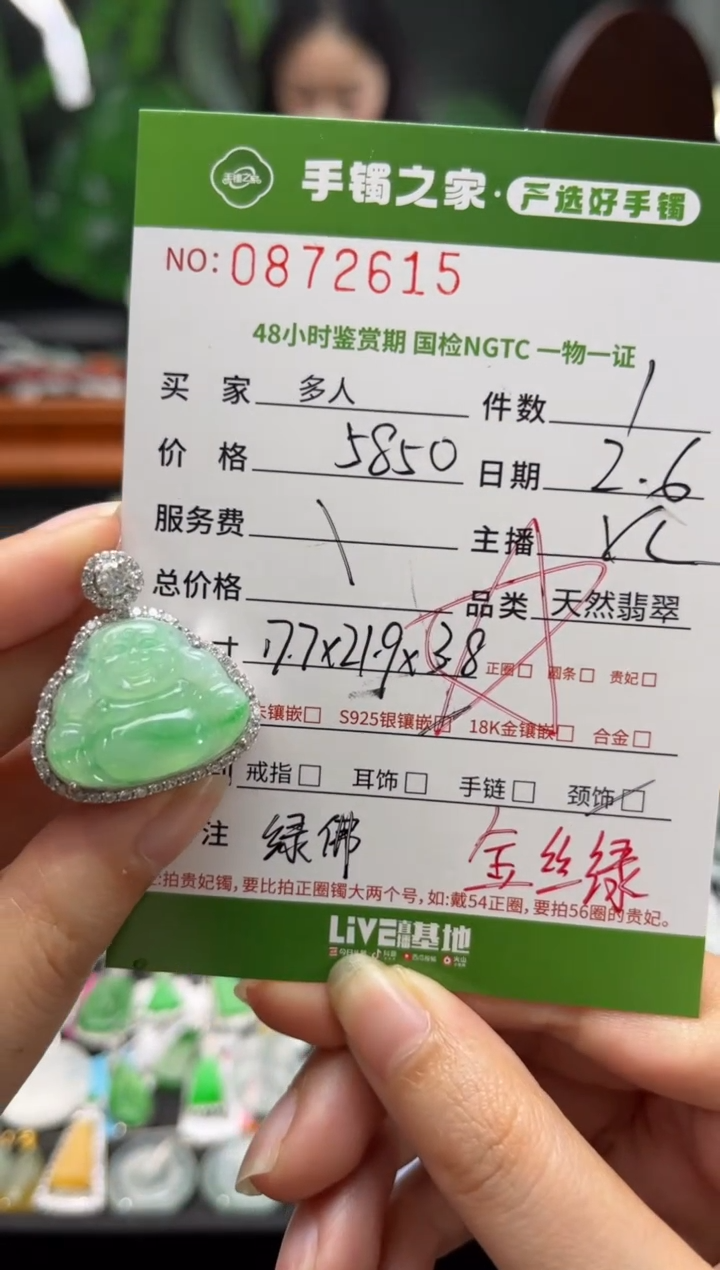 【闪购商品】翡翠颈饰银S925镶嵌多人