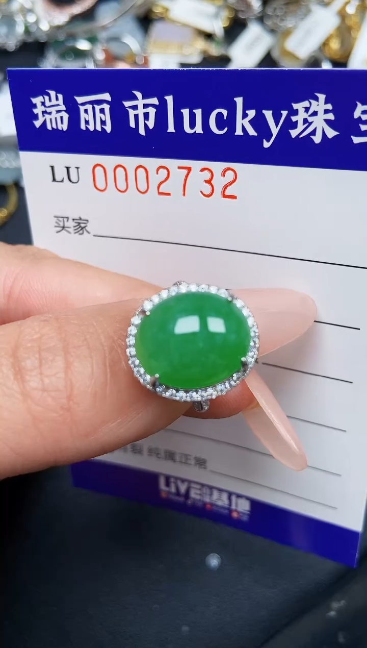 【闪购商品】翡翠颈饰银S925镶嵌2732