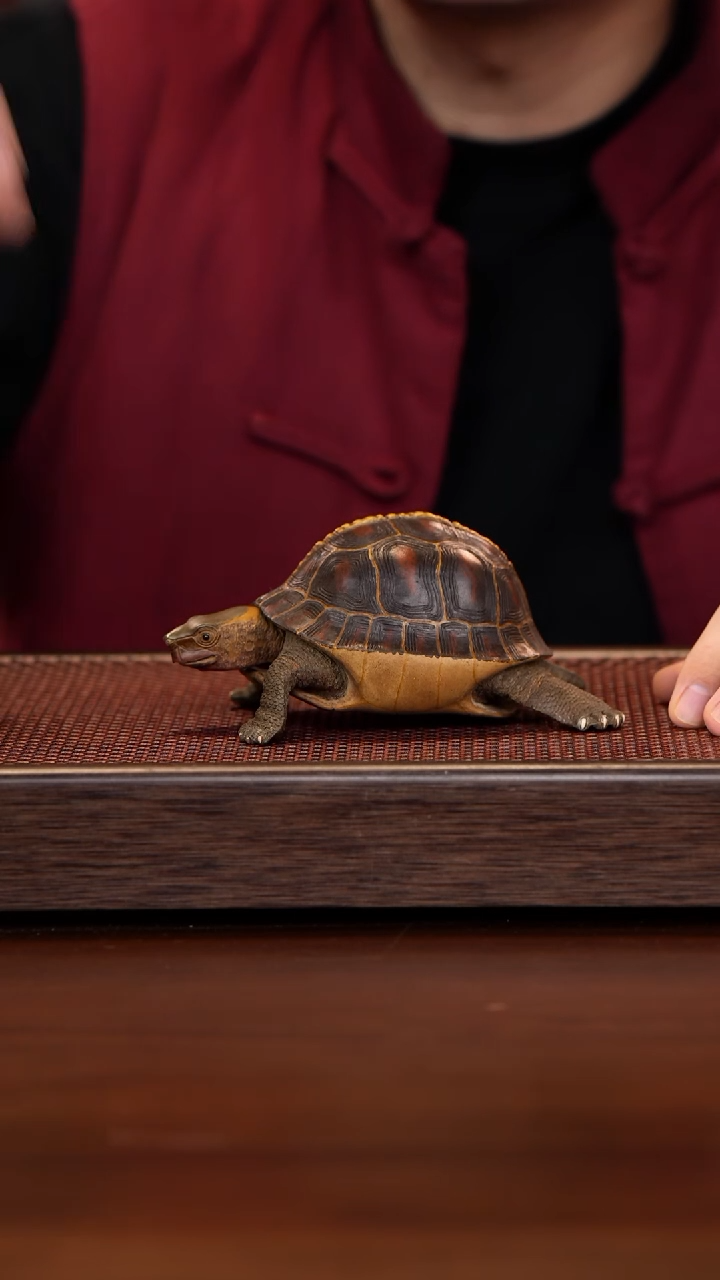 紫砂茶壶徐壶记紫砂精选作品
