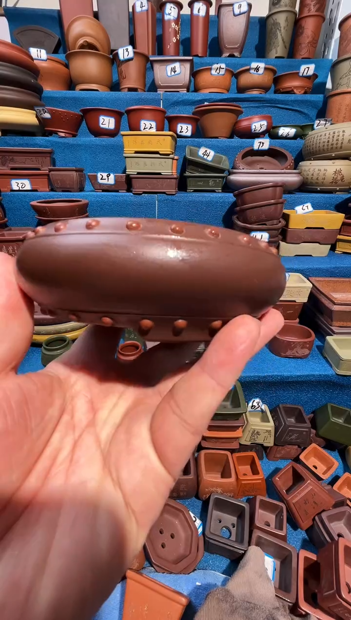 【闪购商品】紫砂紫砂花盆10*3