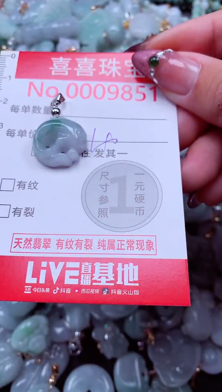 颈饰未镶嵌翡翠9851