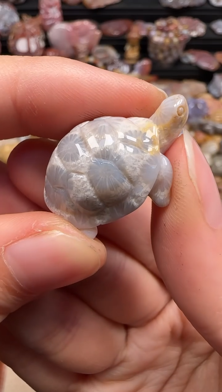 【闪购商品】硅化珊瑚（珊瑚玉）颈饰未镶嵌384