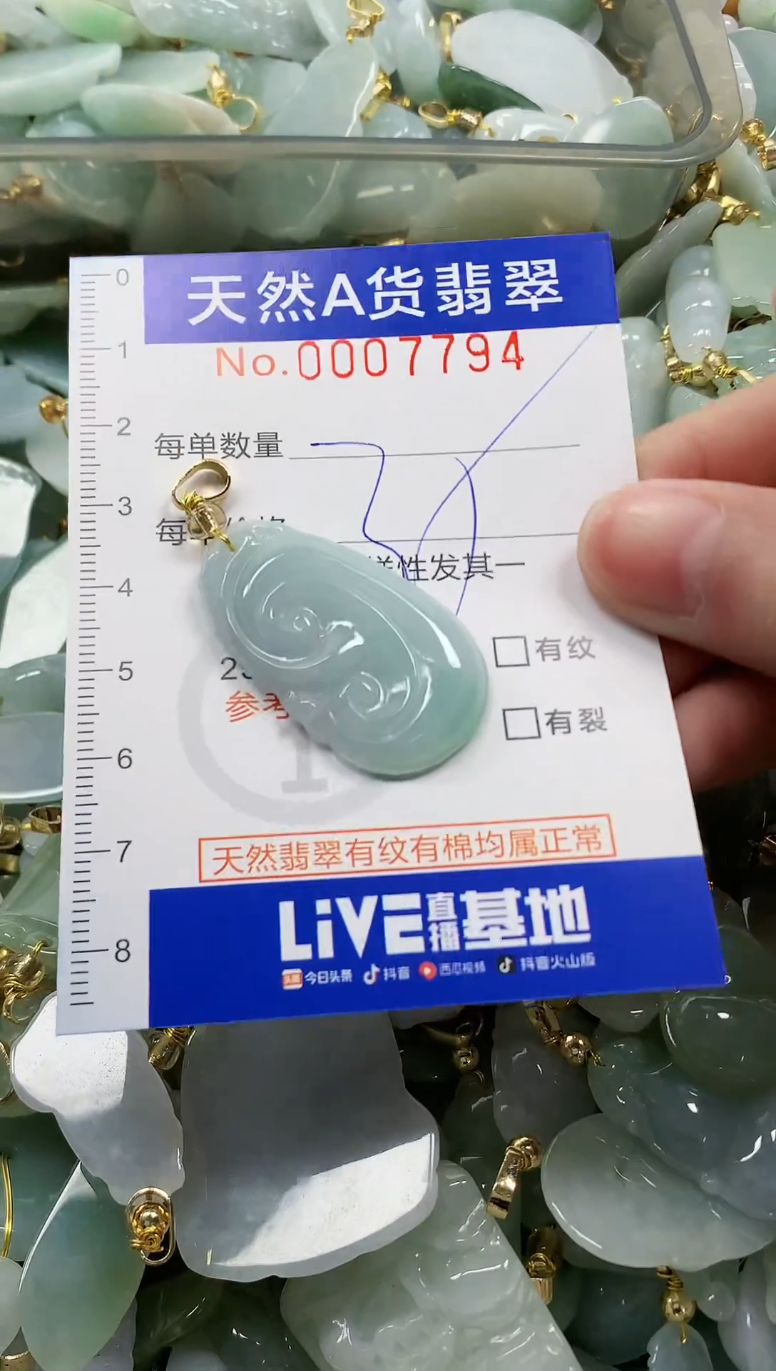 颈饰未镶嵌翡翠纯天然a货翡翠