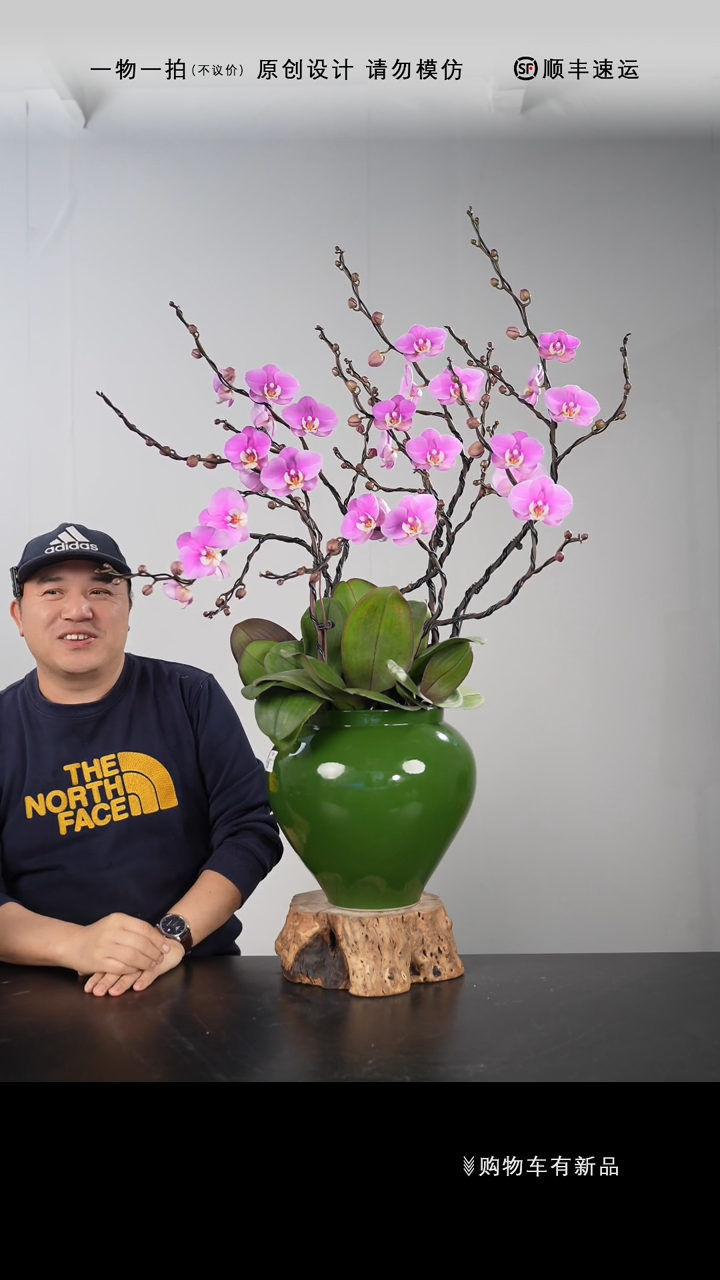 【闪购商品】030号链接【一物一拍】艺术盆景