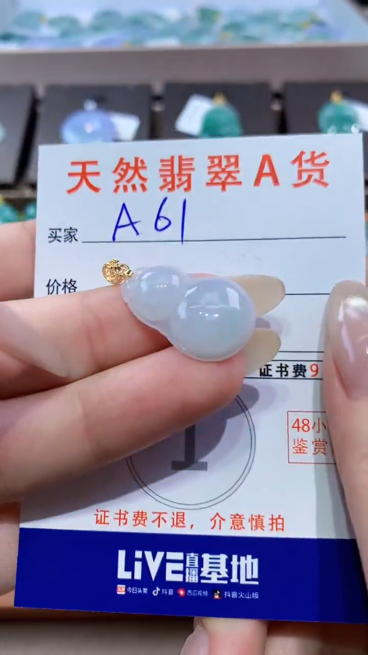 颈饰未镶嵌翡翠天然翡翠A货挂件