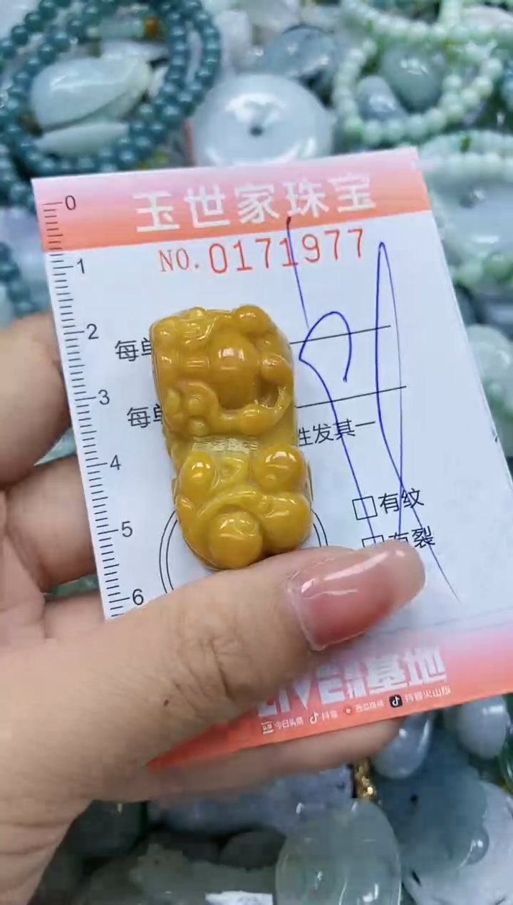 【闪购商品】翡翠颈饰未镶嵌闪购0171977