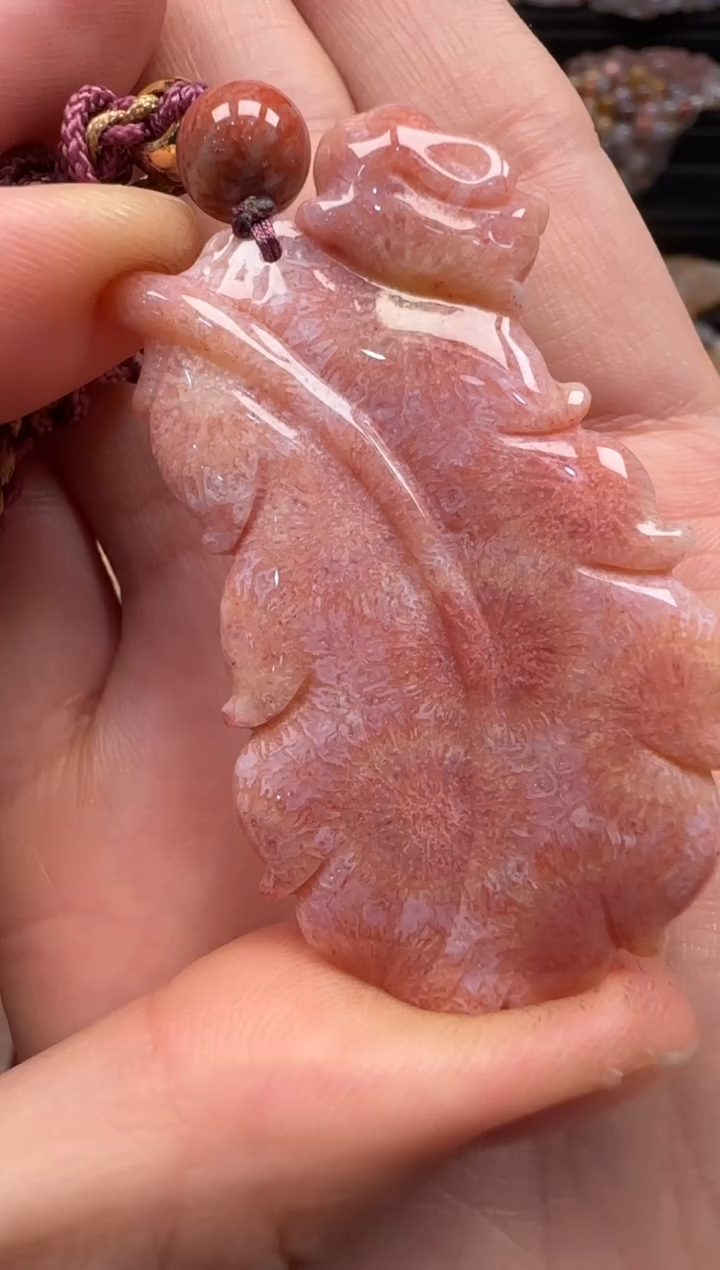 【闪购商品】硅化珊瑚（珊瑚玉）颈饰未镶嵌664