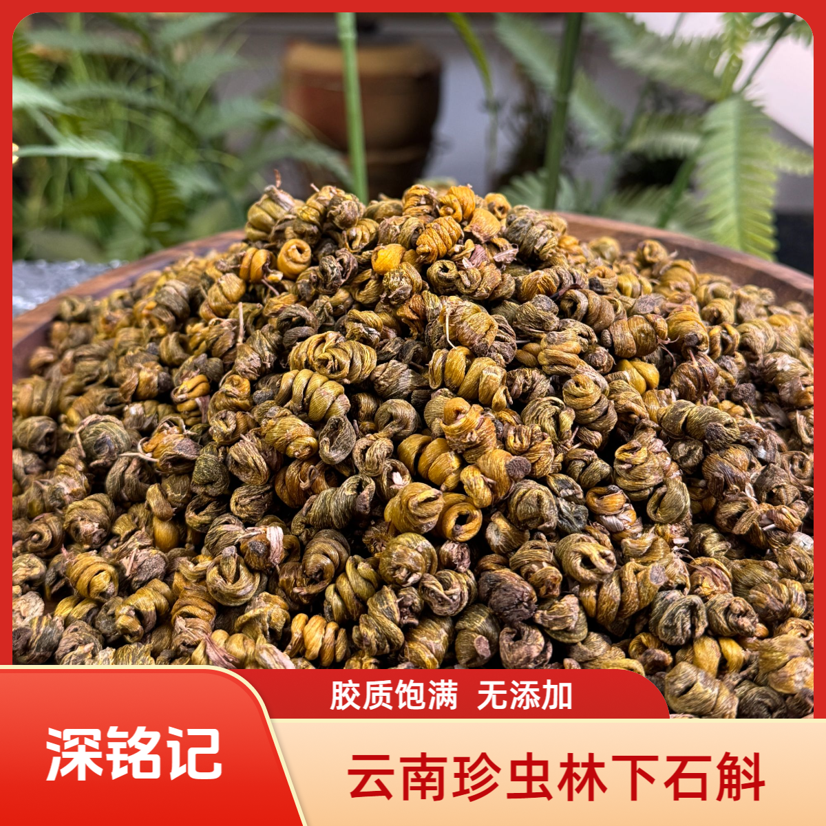 深铭记  云南林下石斛