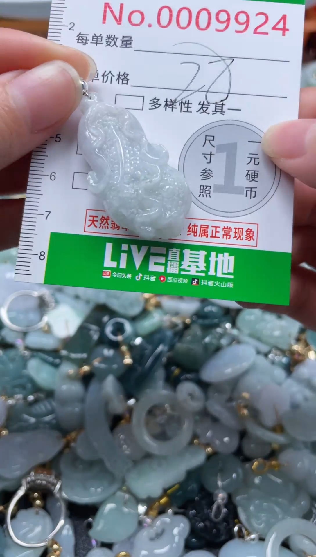 颈饰未镶嵌翡翠9924