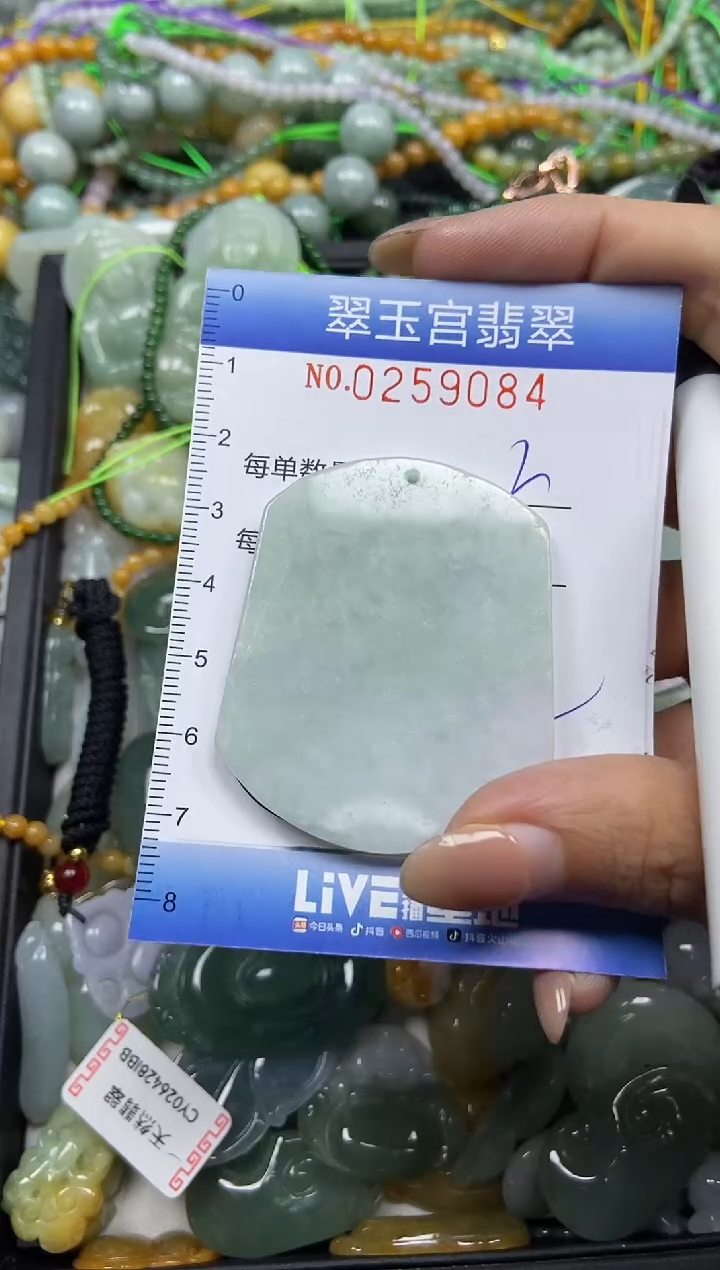 颈饰未镶嵌翡翠闪购C0259084