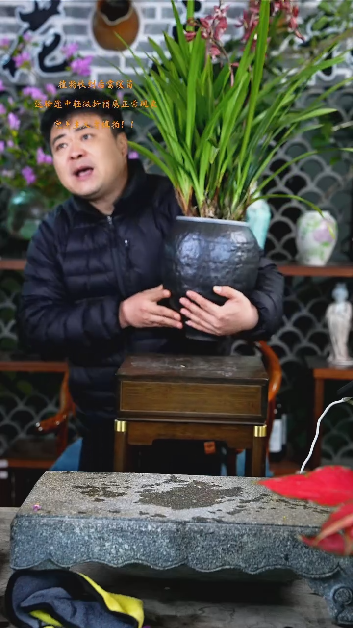 完全开放韩国小姐