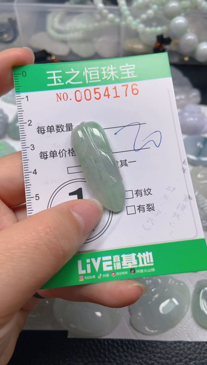 【闪购商品】翡翠未镶嵌颈饰闪购0054176