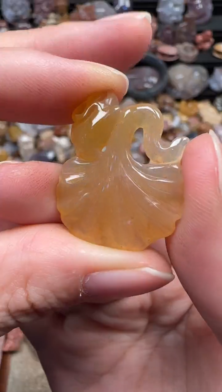 颈饰未镶嵌硅化珊瑚（珊瑚玉）209