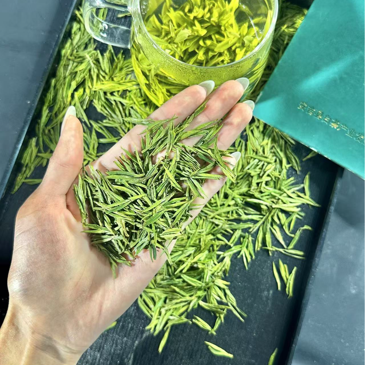 4号【镇店顶芽A01】2025新茶安吉昆铜明前芽头 味兰香高白化鲜爽回
