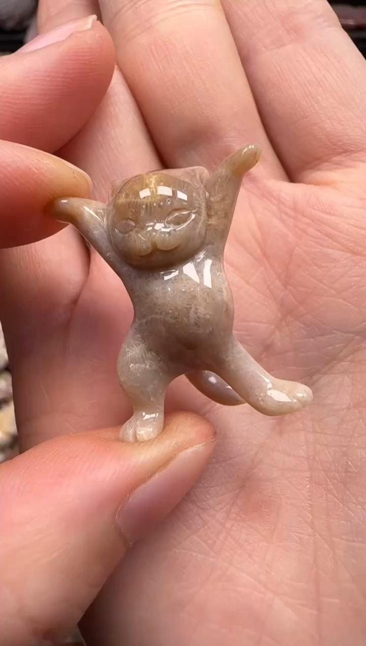 【闪购商品】硅化珊瑚（珊瑚玉）颈饰未镶嵌249