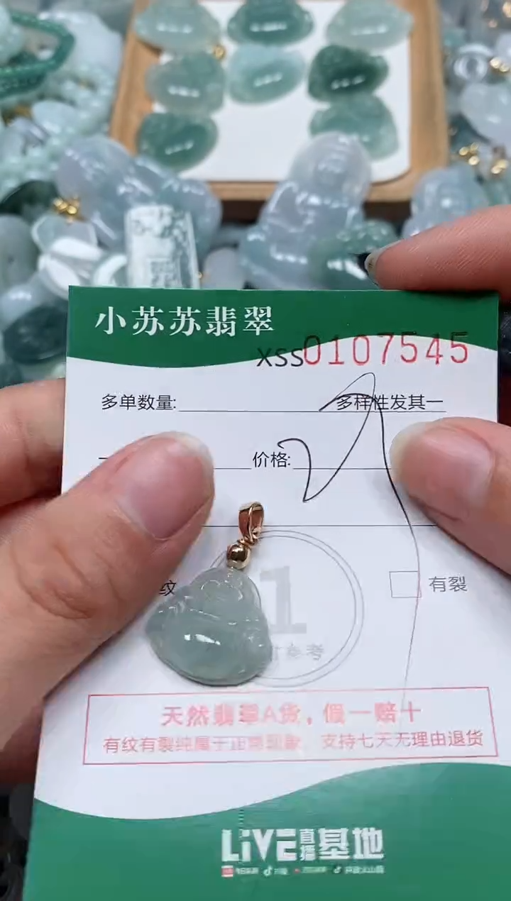 【闪购商品】翡翠颈饰未镶嵌闪购商品0107544