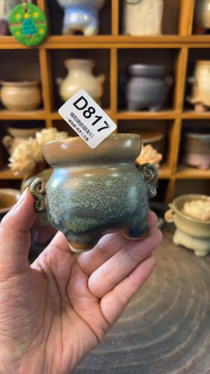 817 内口5.5【多肉花盆多肉盆】