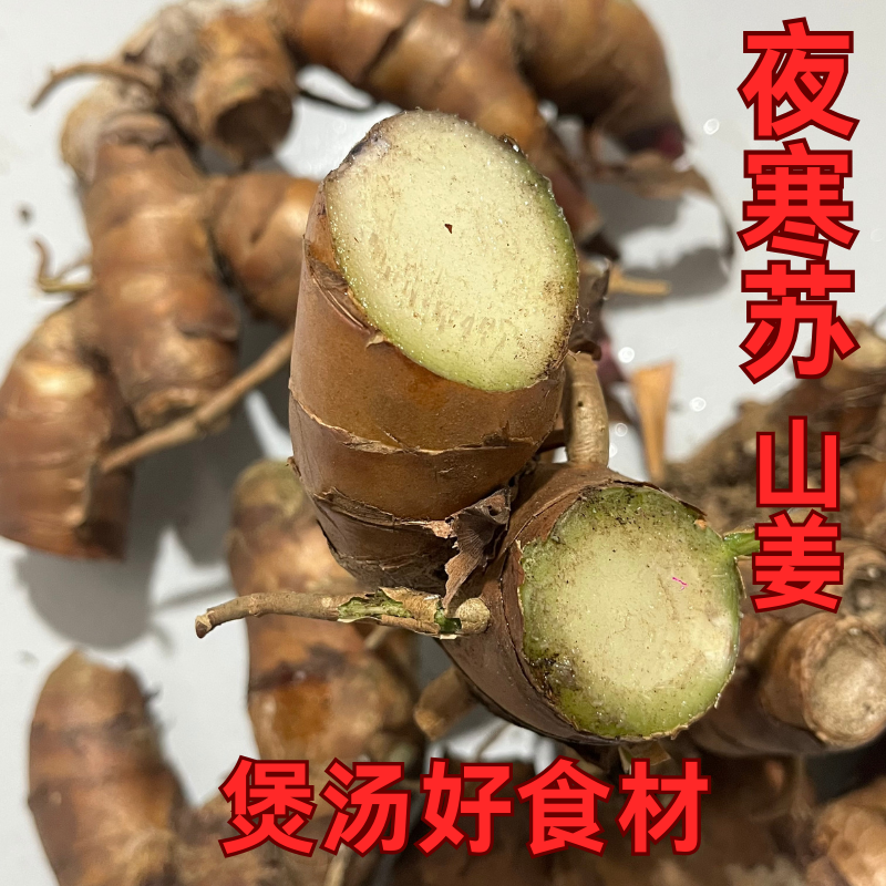 云南深山现挖夜寒苏山姜可煲汤炒菜煮姜茶新鲜发货